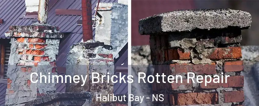  Chimney Bricks Rotten Repair Halibut Bay - NS