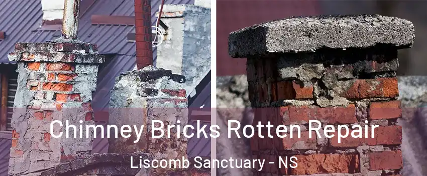  Chimney Bricks Rotten Repair Liscomb Sanctuary - NS