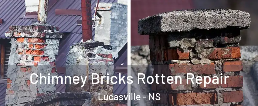  Chimney Bricks Rotten Repair Lucasville - NS
