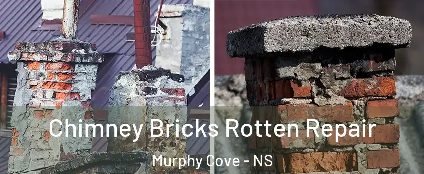  Chimney Bricks Rotten Repair Murphy Cove - NS