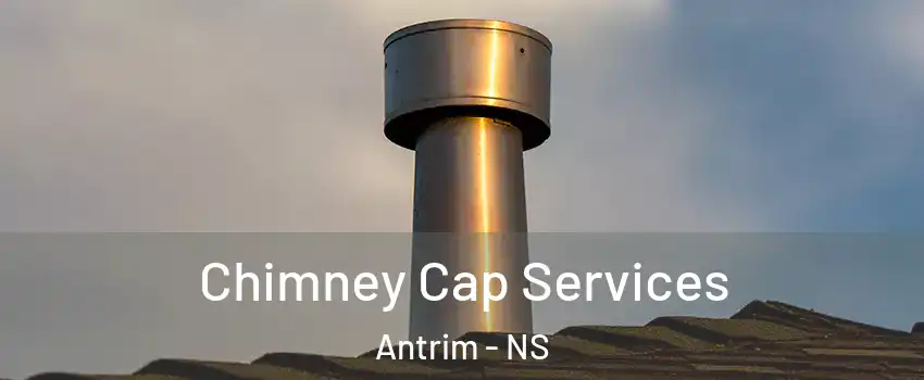  Chimney Cap Services Antrim - NS