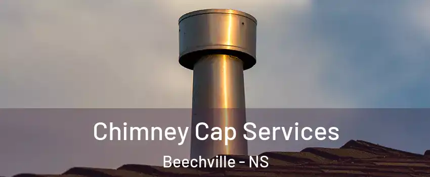  Chimney Cap Services Beechville - NS