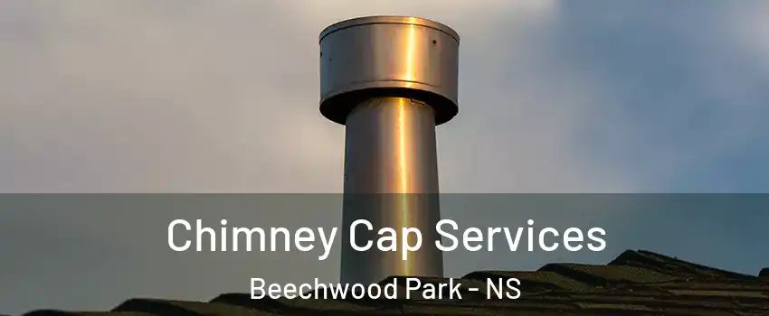 Chimney Cap Services Beechwood Park - NS