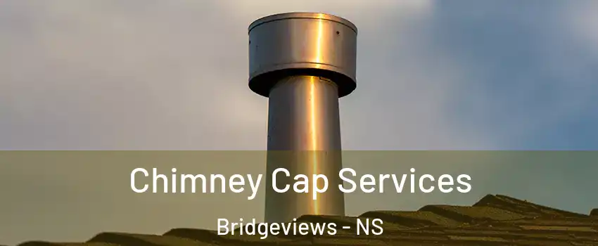  Chimney Cap Services Bridgeviews - NS