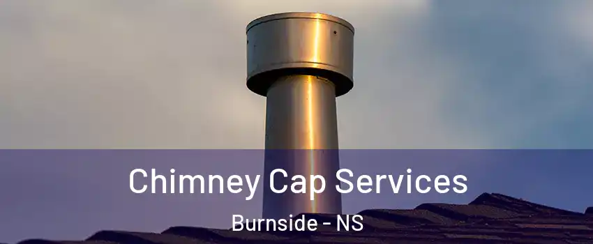  Chimney Cap Services Burnside - NS