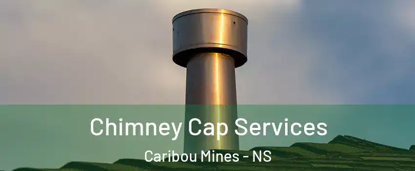  Chimney Cap Services Caribou Mines - NS