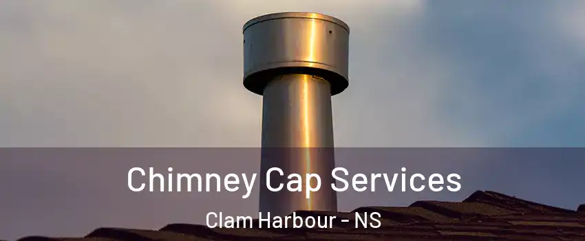 Chimney Cap Services Clam Harbour - NS