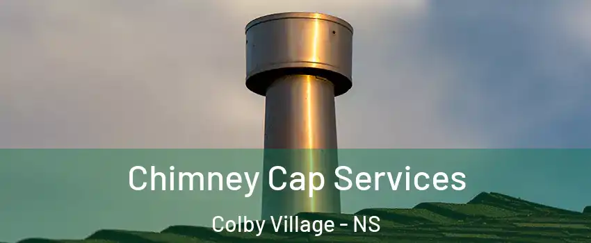  Chimney Cap Services Colby Village - NS