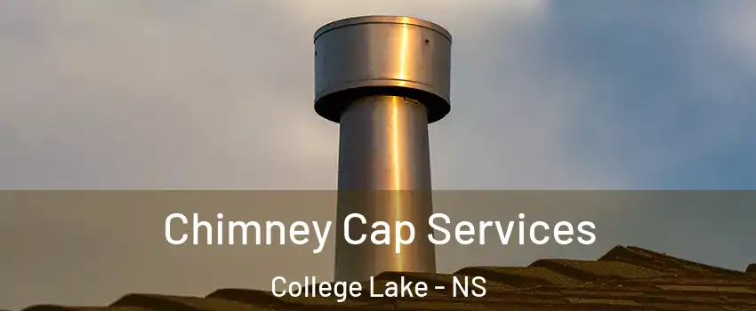  Chimney Cap Services College Lake - NS