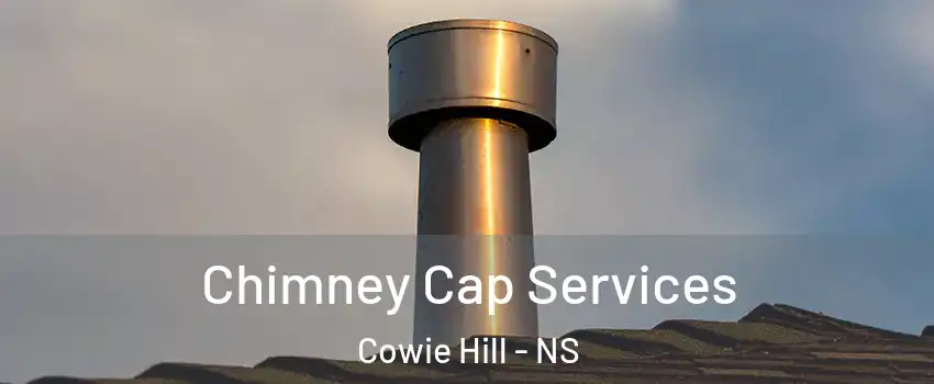  Chimney Cap Services Cowie Hill - NS