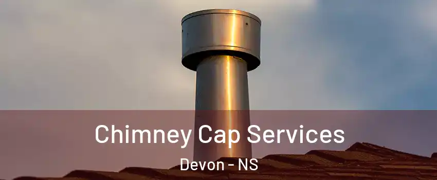  Chimney Cap Services Devon - NS