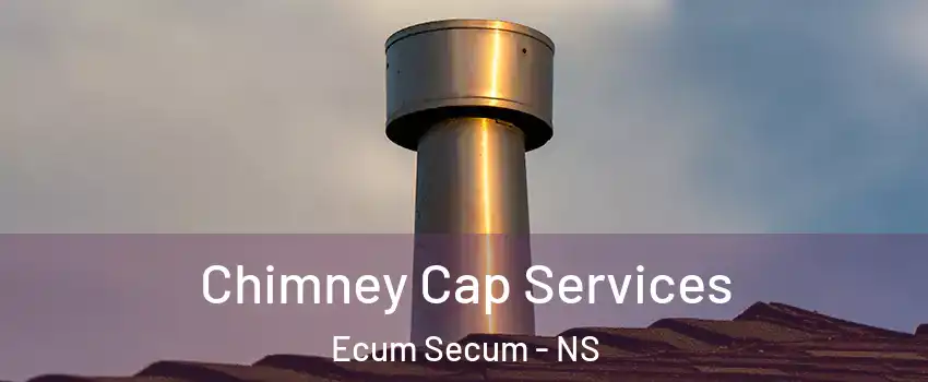  Chimney Cap Services Ecum Secum - NS