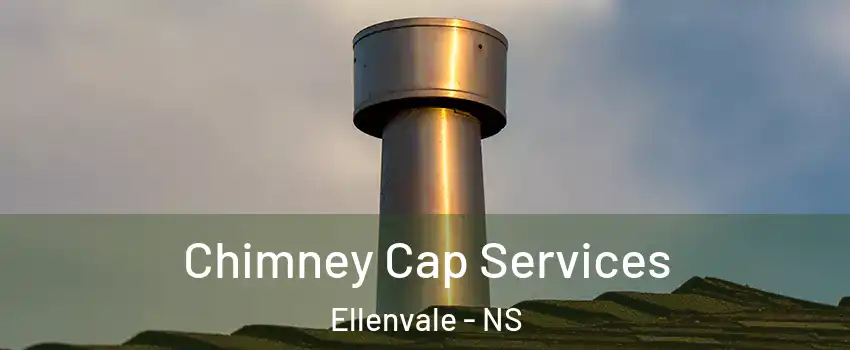  Chimney Cap Services Ellenvale - NS