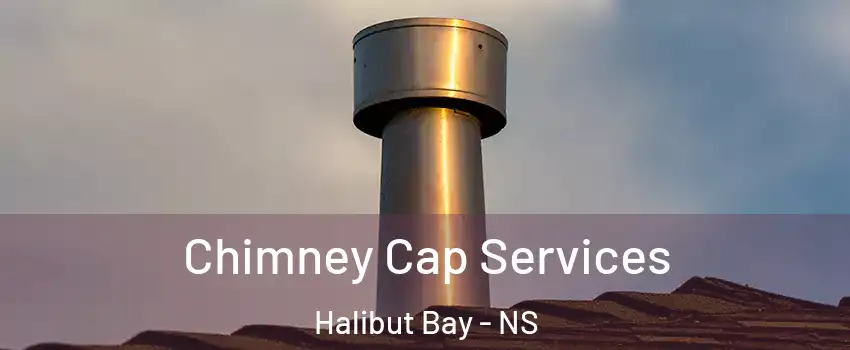  Chimney Cap Services Halibut Bay - NS