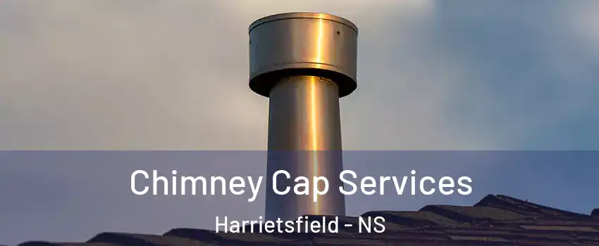  Chimney Cap Services Harrietsfield - NS