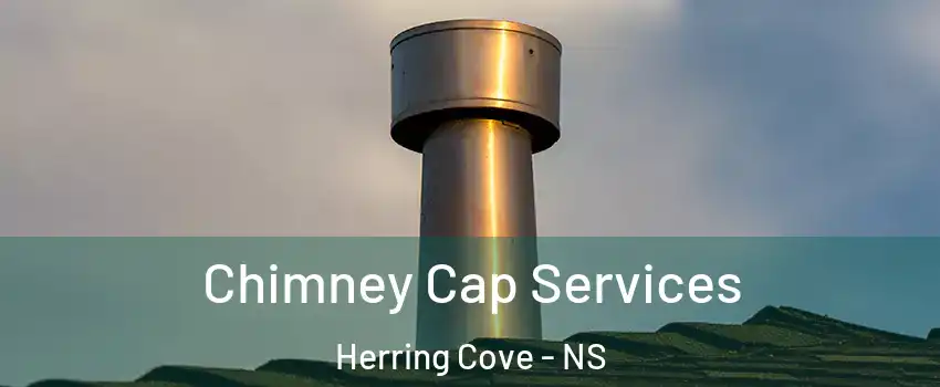  Chimney Cap Services Herring Cove - NS