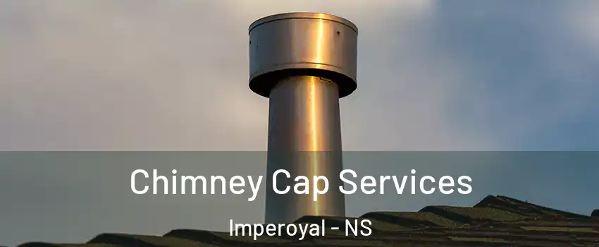  Chimney Cap Services Imperoyal - NS