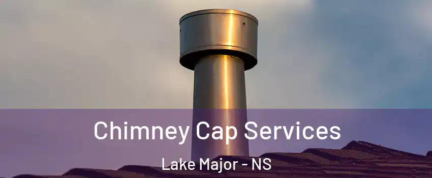  Chimney Cap Services Lake Major - NS