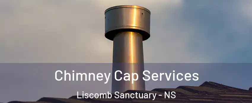  Chimney Cap Services Liscomb Sanctuary - NS