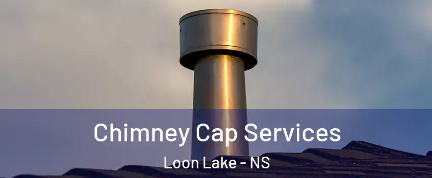  Chimney Cap Services Loon Lake - NS