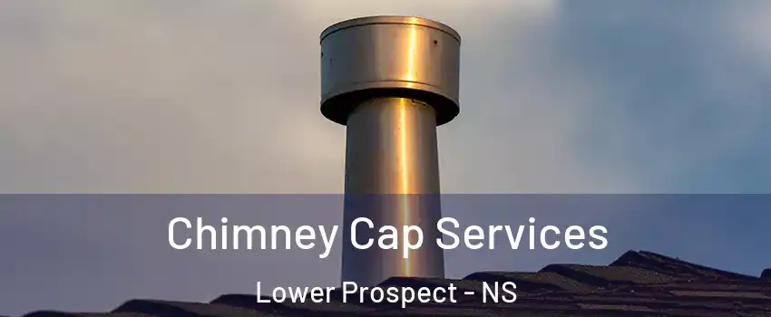  Chimney Cap Services Lower Prospect - NS