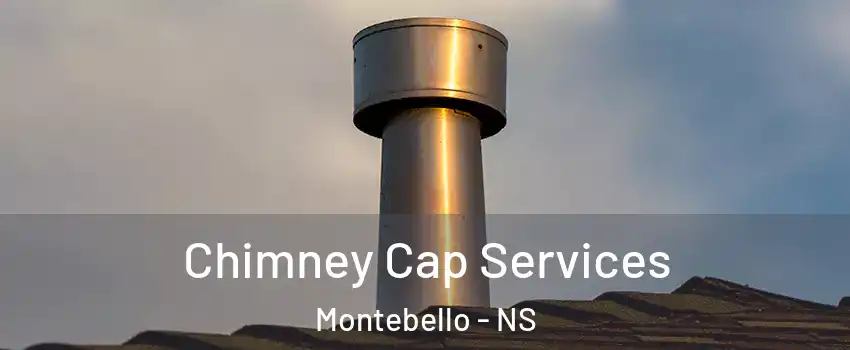  Chimney Cap Services Montebello - NS