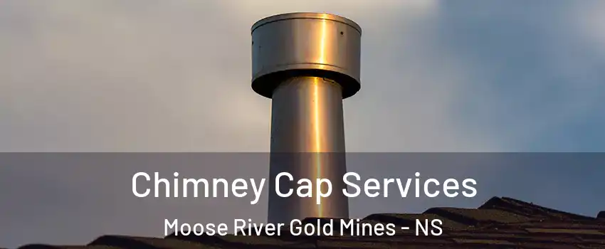  Chimney Cap Services Moose River Gold Mines - NS