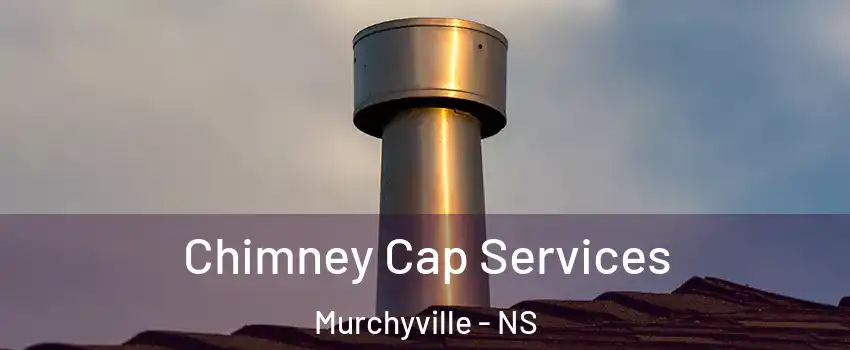  Chimney Cap Services Murchyville - NS