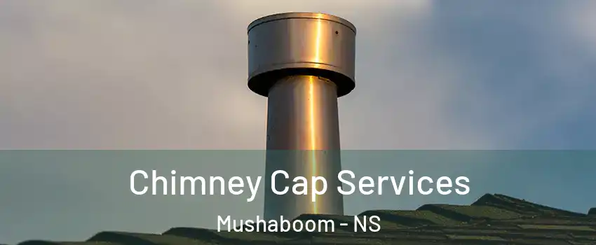  Chimney Cap Services Mushaboom - NS