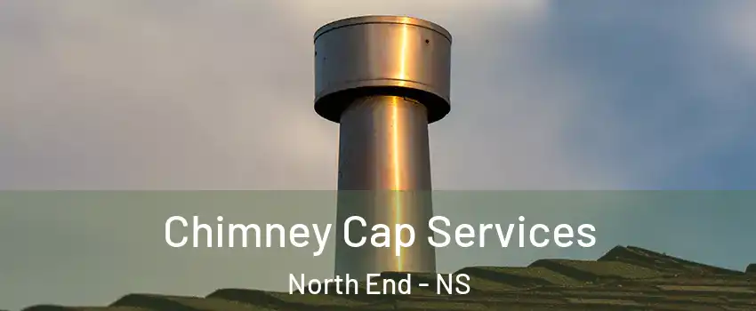  Chimney Cap Services North End - NS