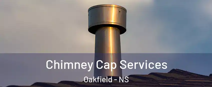  Chimney Cap Services Oakfield - NS