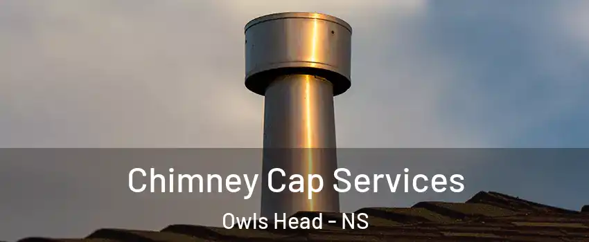  Chimney Cap Services Owls Head - NS
