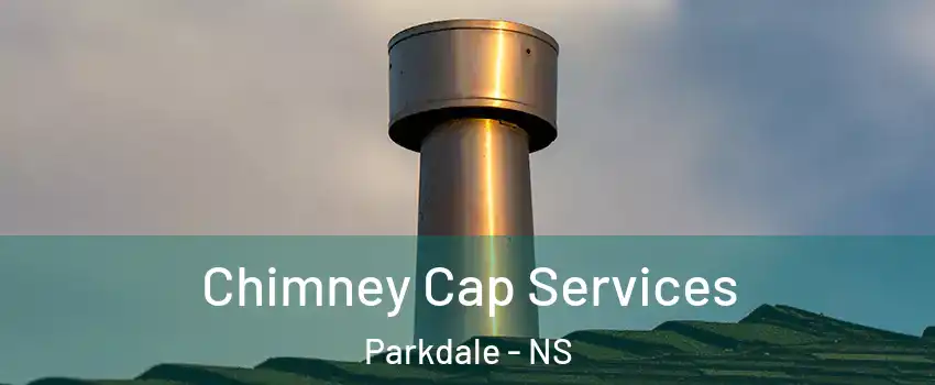  Chimney Cap Services Parkdale - NS