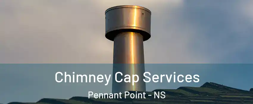  Chimney Cap Services Pennant Point - NS
