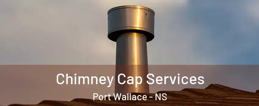  Chimney Cap Services Port Wallace - NS