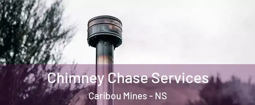  Chimney Chase Services Caribou Mines - NS
