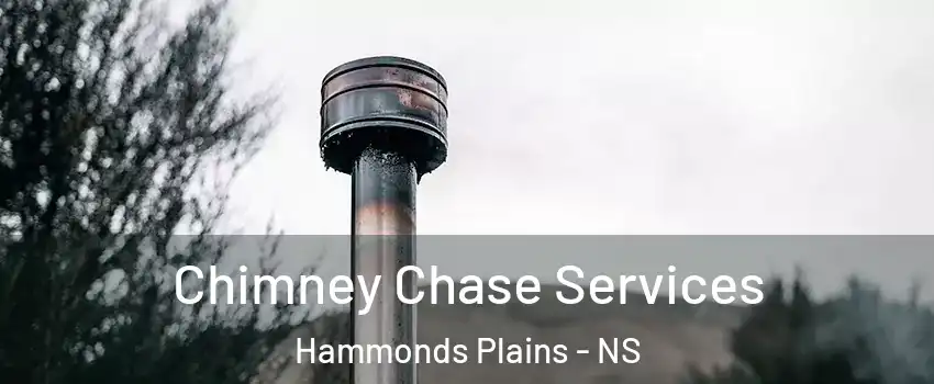  Chimney Chase Services Hammonds Plains - NS