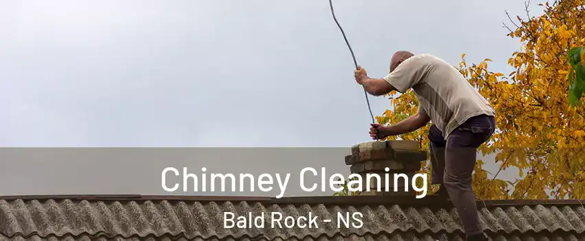  Chimney Cleaning Bald Rock - NS