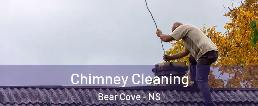 Chimney Cleaning Bear Cove - NS