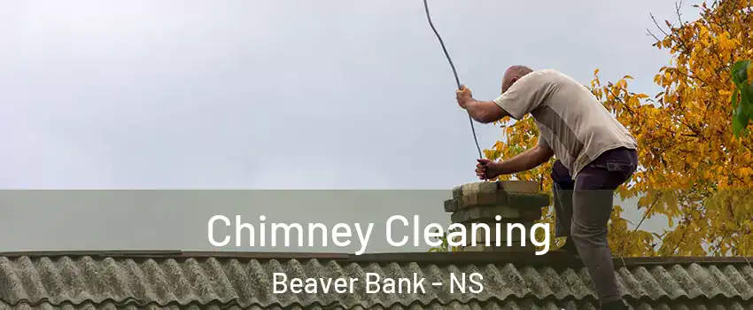  Chimney Cleaning Beaver Bank - NS