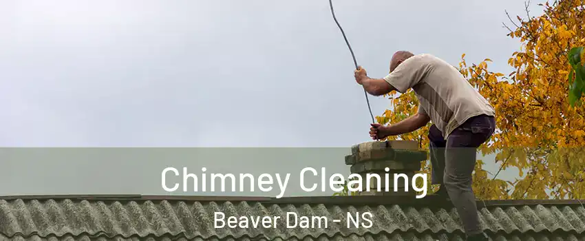  Chimney Cleaning Beaver Dam - NS