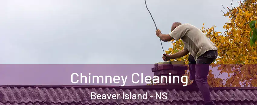  Chimney Cleaning Beaver Island - NS