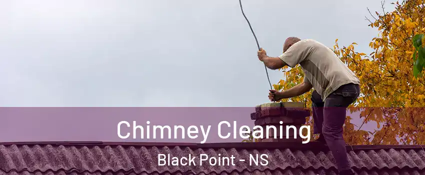  Chimney Cleaning Black Point - NS