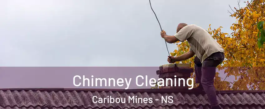 Chimney Cleaning Caribou Mines - NS
