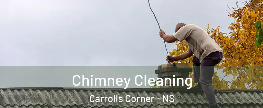  Chimney Cleaning Carrolls Corner - NS