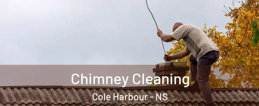  Chimney Cleaning Cole Harbour - NS