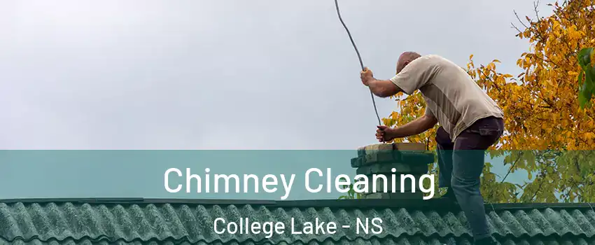  Chimney Cleaning College Lake - NS