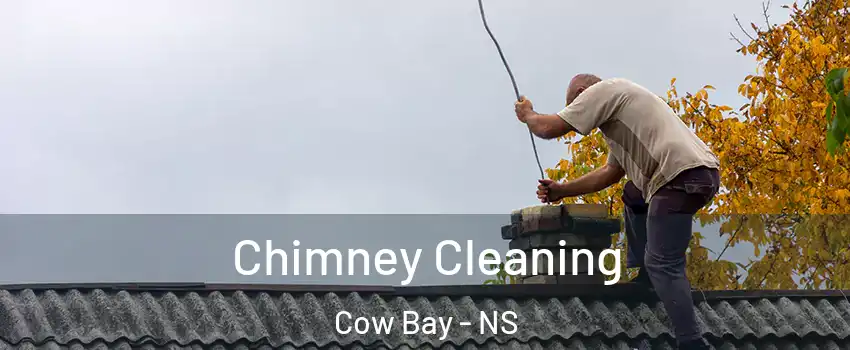  Chimney Cleaning Cow Bay - NS