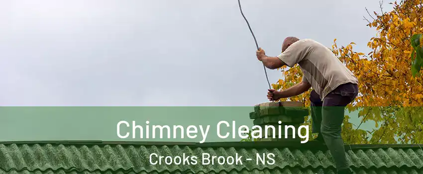  Chimney Cleaning Crooks Brook - NS