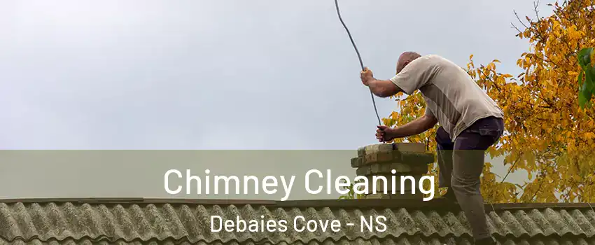  Chimney Cleaning Debaies Cove - NS
